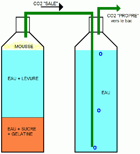 co2gel.gif